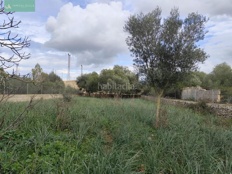 Foto 1971408e-3f34-4cde-841d-4b7976eea7c7. Terreno residencial solar urbano en Ariany