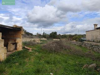 Residential Plot in Ariany. Solar urbano en ariany