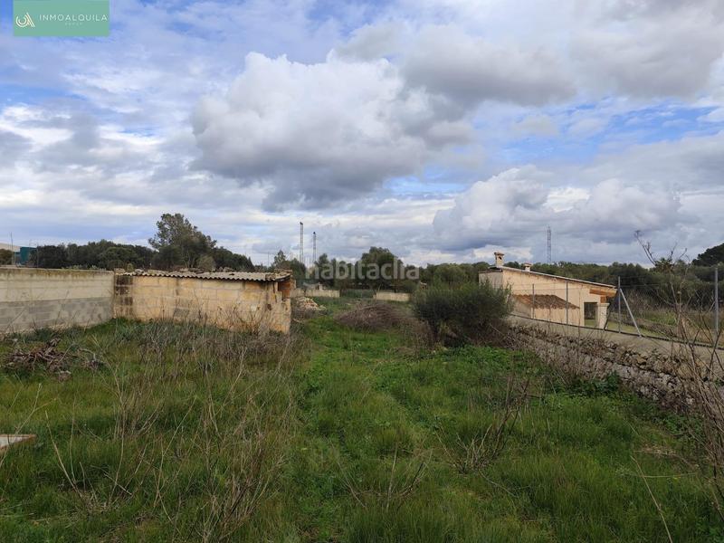 Foto c65b2c9f-94e4-4c23-afdd-f9c998b0da68. Terreno residencial solar urbano en Ariany