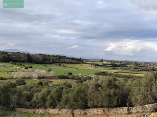 Residential Plot in Ariany. Terreno edificable en ariany