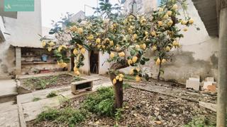 Haus in Lloseta. Planta baja en lloseta