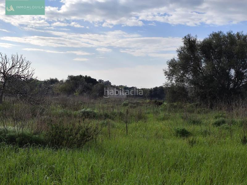 Foto 052e9fb6-0e42-4985-8873-3505b1cf007c. Wohngrundstück in Santa Margalida poble Santa Margalida