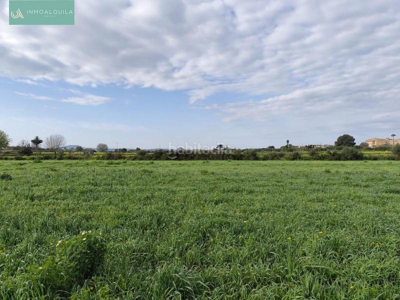 Foto 1529edd6-1386-4fbc-a115-f2c8f8cf0945. Wohngrundstück in Santa Margalida poble Santa Margalida