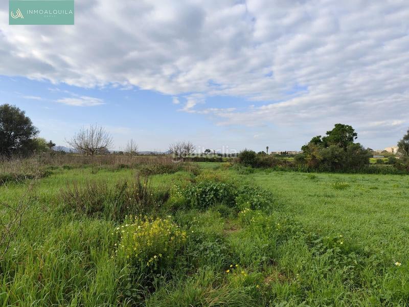 Foto 48642da7-5ec7-4b84-bc7b-06a42f2fdb16. Wohngrundstück in Santa Margalida poble Santa Margalida