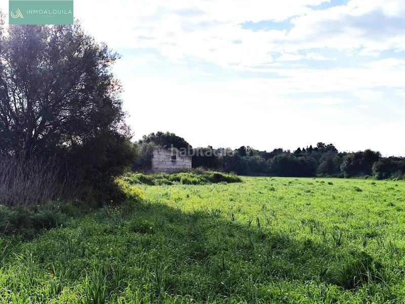 Foto aedcc3a5-bf62-469e-857e-f154b292e485. Wohngrundstück in Santa Margalida poble Santa Margalida