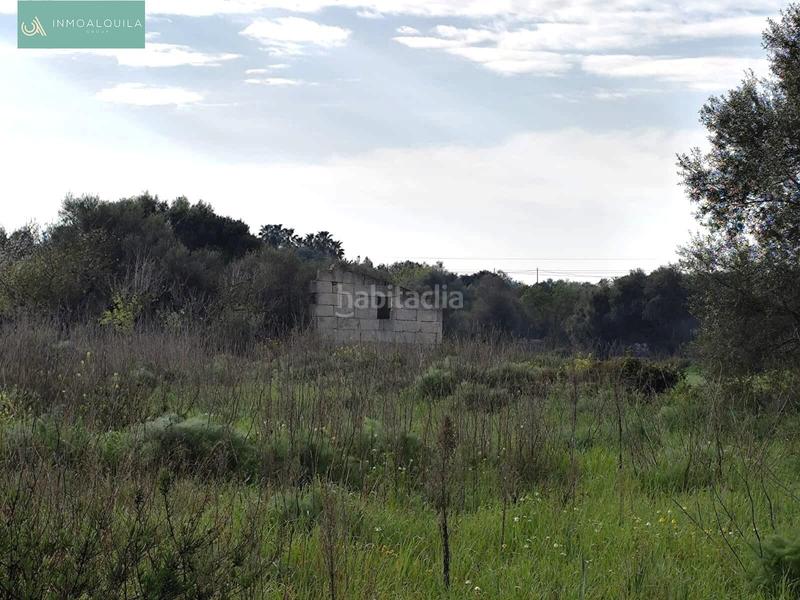 Foto b21d1af4-2f43-4bb7-ba7f-d425303f542c. Wohngrundstück in Santa Margalida poble Santa Margalida