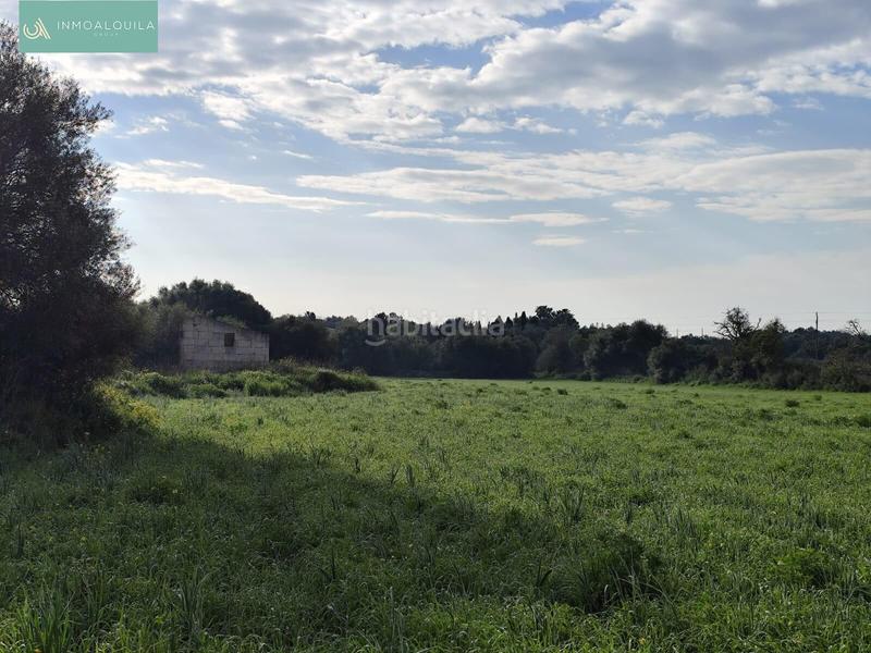 Foto c661b42c-ae3e-4a0f-8dbf-d71706a13982. Wohngrundstück in Santa Margalida poble Santa Margalida