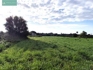 Residential Plot in Santa Margalida Poble. Finca en santa margalida con luz!