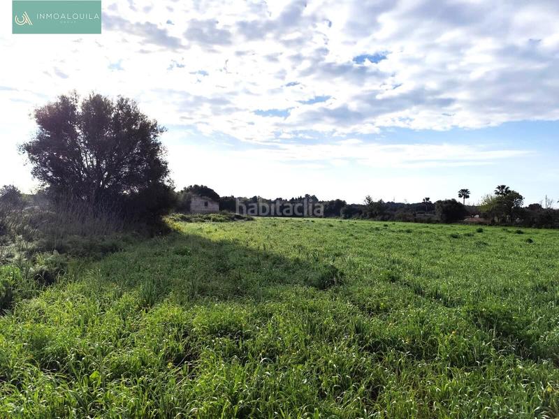 Foto fb78919a-badb-485d-8221-18a4207a7983. Wohngrundstück in Santa Margalida poble Santa Margalida