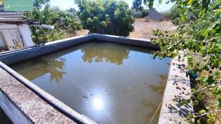 Bauernhof in Lloseta. Finca rústica en lloseta una oportunidad única