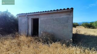 Fondo rustico in Consell. Finca rústica en consell