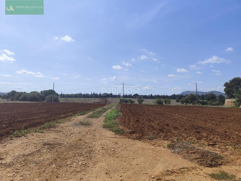 Foto 98bab0e7-e0ee-4d3b-aba6-733513f766c6. Terreny residencial a Sa Pobla