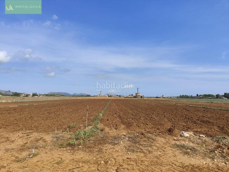 Foto f4f96149-9e7a-4ad8-a5e1-023e8c37f840. Terreny residencial a Sa Pobla