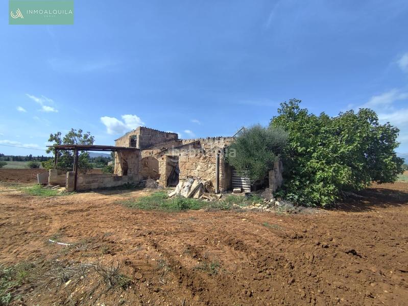 Foto fa3eb3a6-37b0-463f-b7df-e9cdad1a6a3b. Terreny residencial a Sa Pobla