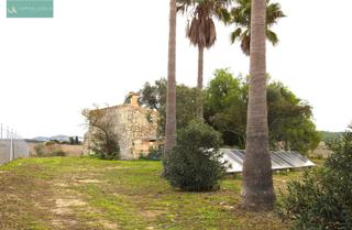 Location Maison à Maria de la Salut. Finca rústica 60m2. 1 hab, 1 baño. 750mes