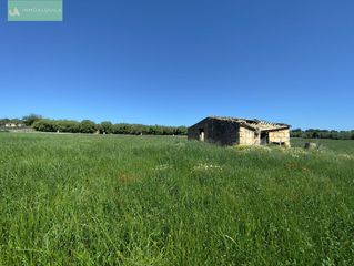 Terreno residencial en Ariany. Finca en venta ariany