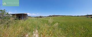 Masia a Sineu. Finca rústica llubí. 25.000 m2 parc. 70 m2 constr. edif. 250 m2p