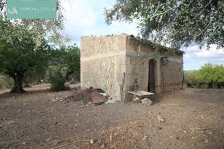 Mas à Selva. Finca rústica en termino de mancor de la vall de 42500 m2 con ca
