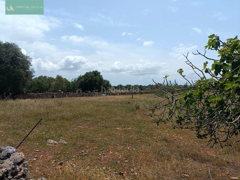 Foto 0e6264e5-d79b-4d61-a512-73156a4163c9. Terreno residencial finca edificable con proyecto en Santa Margalida