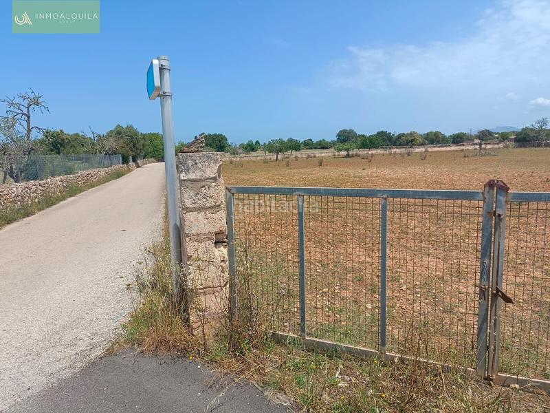 Foto 59ccb76a-0670-42ac-ac26-4e9c70a818a8. Terreno residencial finca edificable con proyecto en Santa Margalida
