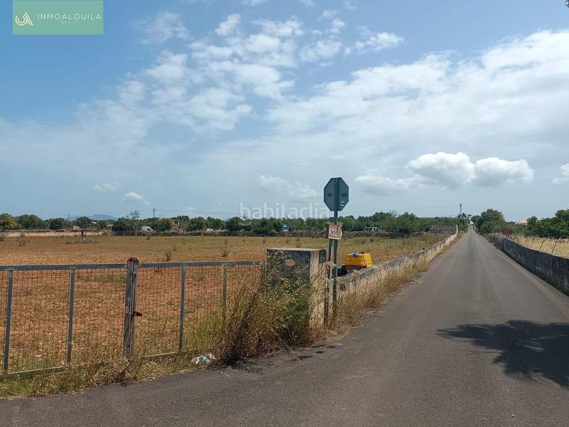 Foto 61b38368-1a63-42cb-9ce7-d53190f95fd3. Terreno residencial finca edificable con proyecto en Santa Margalida