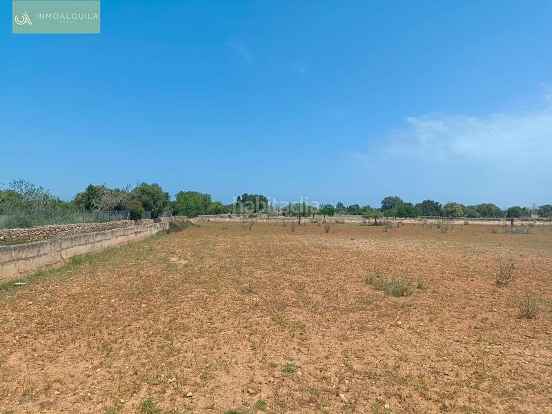 Foto 672c82a3-87c7-4fd3-bcb1-f0675e17d529. Terreno residencial finca edificable con proyecto en Santa Margalida