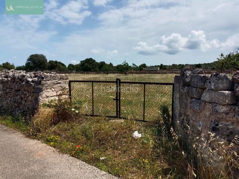 Foto b5e021a0-f898-43cd-9775-5f637f1a45b1. Terreno residencial finca edificable con proyecto en Santa Margalida