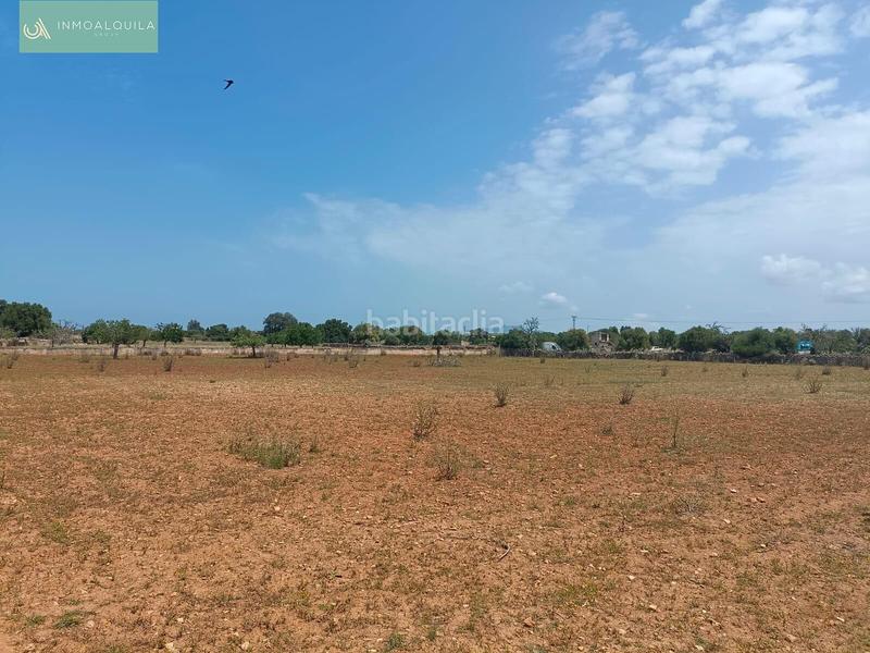 Foto c9a2528d-c341-439b-a695-f56142c90512. Terreno residencial finca edificable con proyecto en Santa Margalida