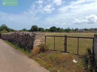 Residential Plot in Santa Margalida Poble. Finca edificable con proyecto