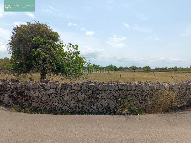 Foto e6314770-650f-4389-bd66-18c5004fb0ac. Terreno residencial finca edificable con proyecto en Santa Margalida
