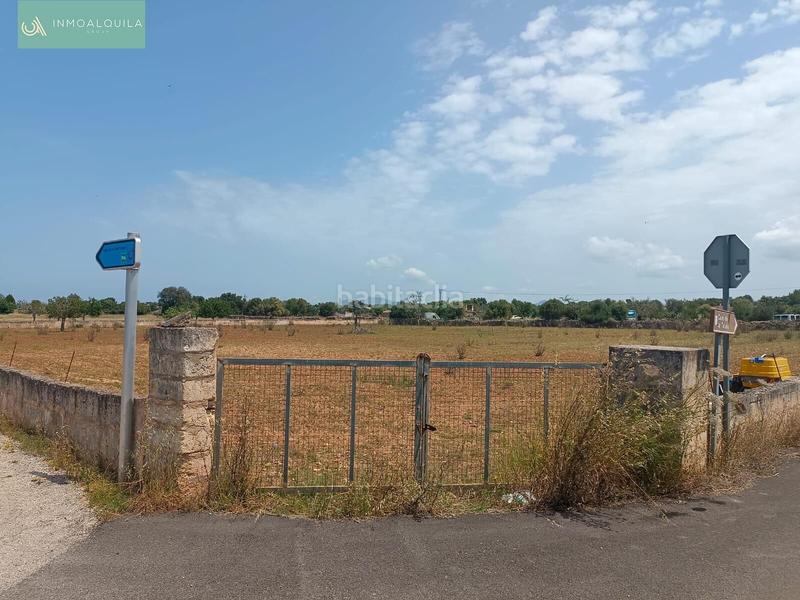 Foto e688747f-967c-453f-8e27-e88f100b6fdd. Terreno residencial finca edificable con proyecto en Santa Margalida
