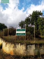 Rural plot in Lloseta. Terreno rústico en lloseta