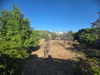 Finca rústica a Masquefa. Terreno llano en can canals de 660 m2