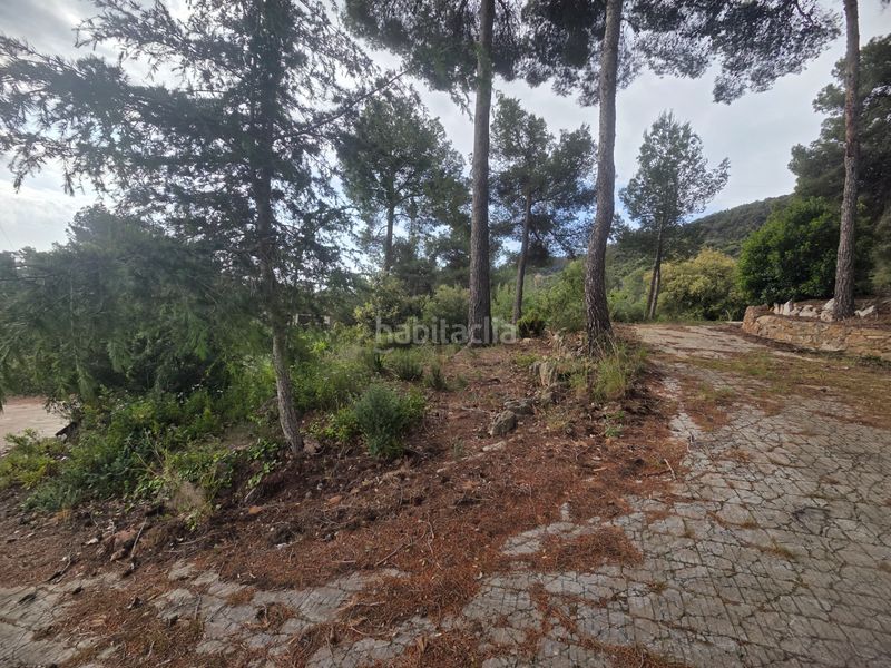 Foto 7ece4cf0-fa38-481e-98fe-7c93dbcf6a1a. Terreny residencial a Bruguers Gavà