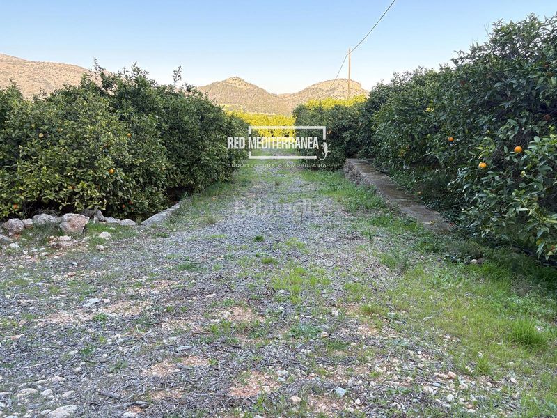 Foto e37d1ee4-ef0d-45ed-8365-33c47dc049dc. Xalet a Urbanizaciones Gandia