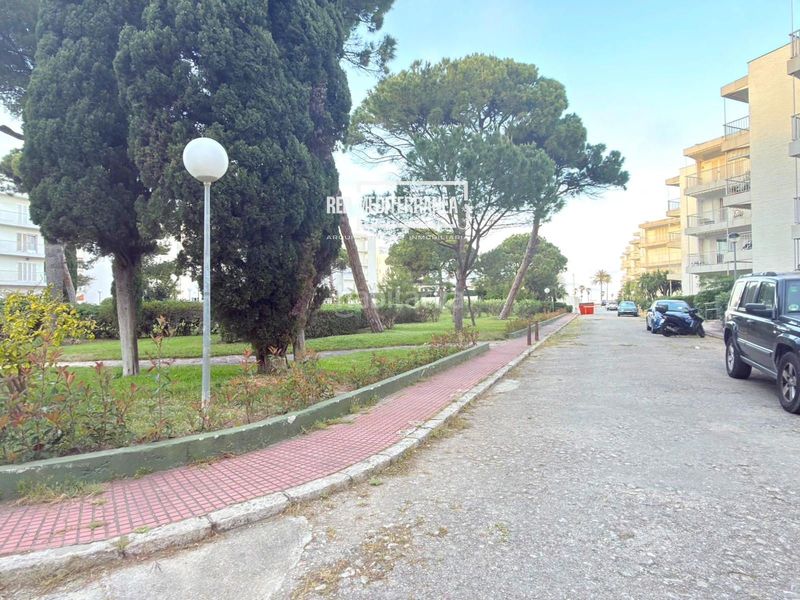 Foto 1a230362-259d-4a2a-b088-371ca5dead22. Apartament amb calefacció a Playa de Gandía Gandia