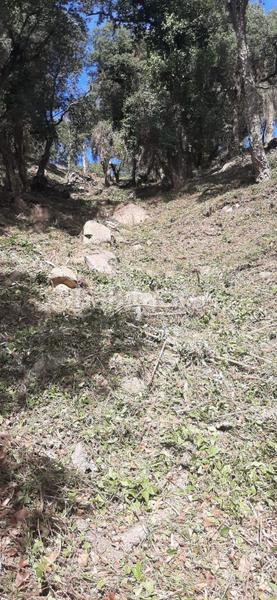 Foto 9b3a6f59-a28a-417a-b426-d019373ee400. Wohngrundstück in Urbanitzacions del Nord Santa Cristina d´Aro