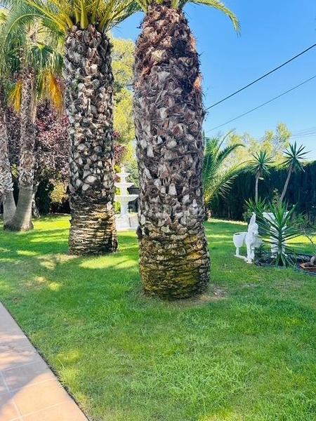 Foto ef5f995c-39df-42d2-8df2-4aeabf45873e. House with parking pool in Castellbisbal