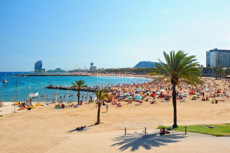 Foto f9cf0aa2-f872-4bf8-91c0-27dd000fbdaf. Pis a Barri de les Corts Barcelona
