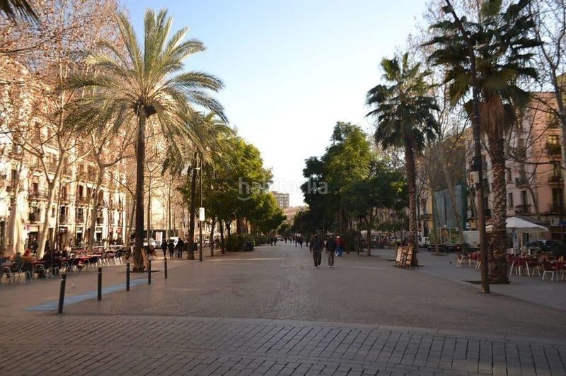 Foto 6b9c3f33-37cc-406e-b65f-749a6e06bd60. Pis a Raval Barcelona