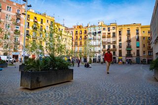 Edifici a Raval. Edificio en venta en rentabilidad