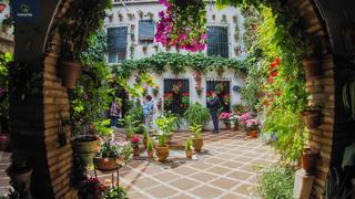 Maison à Casco Histórico  - Ribera - San Basilio. Casa historica cerca de la corredera