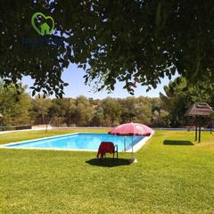 Mas à Posadas. Ideal inversion turistica finca con olivos y piscina
