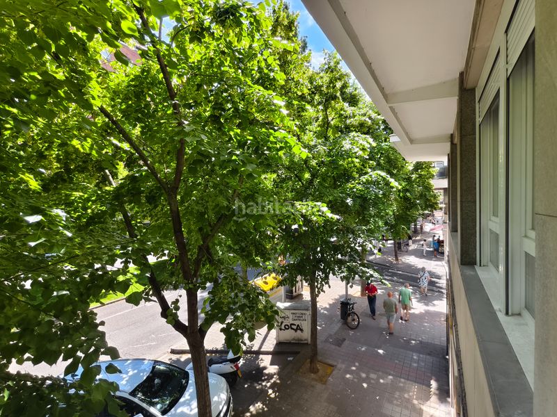 Foto 671e8cba-ff7c-410c-8d1d-d8e5534cb4a5. Pis a Centro Palencia