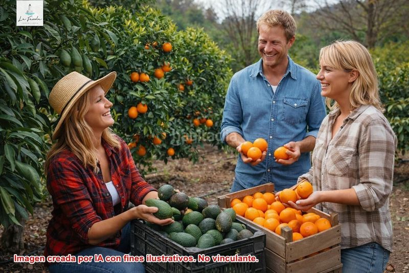 Foto 5fe33c6f-9686-4733-acf3-fa78bb5aa042. Casa amb aparcament a Carratraca