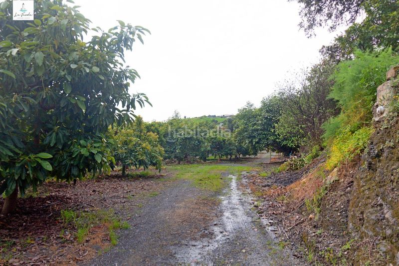 Foto 6879ee39-655b-477d-bb83-c61833d4f380. Casa amb aparcament a Carratraca