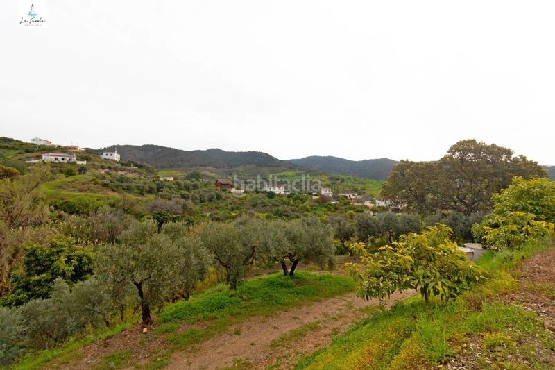 Foto c9c7f356-b5bf-4279-8b82-82d49c9f9c8f. Casa amb aparcament a Carratraca