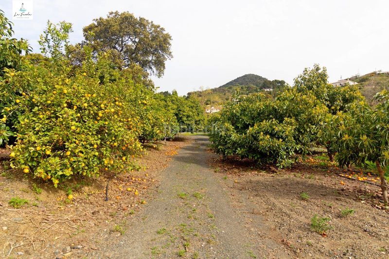 Foto fed831e0-6054-4cb6-9748-a985458604ae. Casa amb aparcament a Carratraca