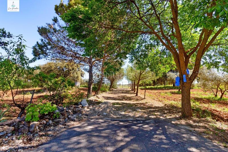 Foto 52012177-727c-42f5-821a-4dadc874dca6. Casale con riscaldamento parcheggio in Archidona