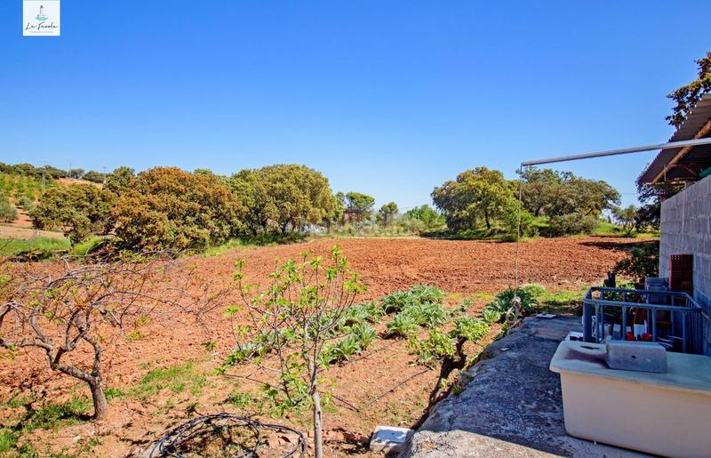 Foto d86067b3-a159-48f2-8b9e-fd5f735dd406. Casale con riscaldamento parcheggio in Archidona